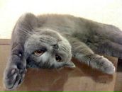 Еріс Волчиц фотография #32 (источник - https://vk.com/id86335377)