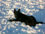 Фотография Кондаковой Ольги