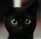 Фотография Кузнецова Виктора