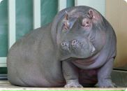 Бодик Бабкін фотография #50 (источник - https://vk.com/id126759123)