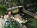 Вікторія Коваль фотография #24 (источник - https://vk.com/id44859951)