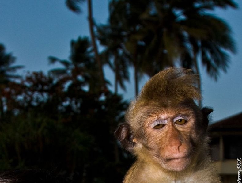 Константин Басманов фотография #8