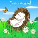 Юлія Пасічник фотография #37 (источник - https://vk.com/id169407955)