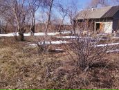 Фотография Агафоновой Инны