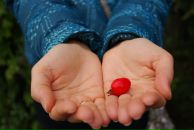 Фотография Карамышевой Елены