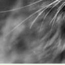 Катюха =) фотография #49 (источник - https://vk.com/id123783235)