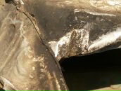 Дмитрий Горячев фотография #50 (источник - https://vk.com/id606368)