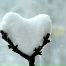 Сергій Омеляш фотография #42 (источник - https://vk.com/id11101493)