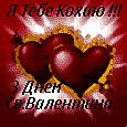 Вікторія Король фотография #3 (источник - https://vk.com/id69614178)