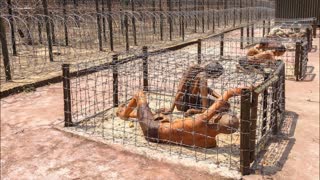 Самые Страшные Тюрьмы Мира