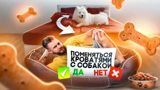 СОБАКА УПРАВЛЯЕТ МОЕЙ ЖИЗНЬЮ